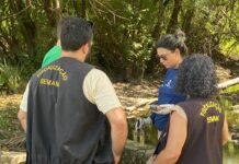 Vistoria técnica identifica despejos irregulares de esgoto em área de mangue entre João Pessoa e Cabedelo