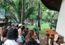 Parque Arruda Câmara em inicia nesta quarta-feira com atividades educativas e de lazer