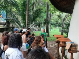 Parque Arruda Câmara em inicia nesta quarta-feira com atividades educativas e de lazer