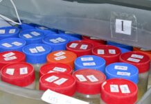 Instituto Cândida Vargas inicia campanha de doação de leite humano