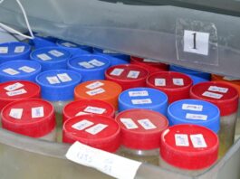 Instituto Cândida Vargas inicia campanha de doação de leite humano