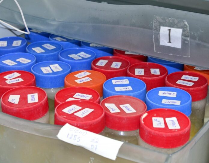 leitIMG_0623-1-1536x1024