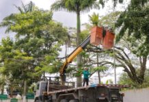 Com quase 2 mil toneladas de lixo recolhidas só em 2026, Lagoa Seca reforça limpeza urbana e amplia iluminação pública