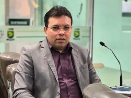 Você sabe onde estão os animais abandonados de Campina Grande? Projeto de Márcio Guedes quer mudar essa realidade