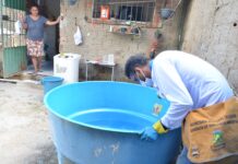 Chuvas aumentam índice de infestação do Aedes aegypti em Campina Grande