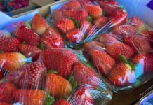 Morango da ansiedade: profissionais da Rede Ebserh alertam sobre riscos da moda