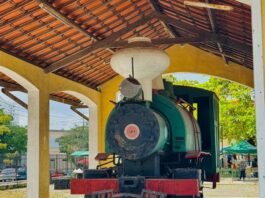 Museus de Campina Grande iniciam atividades alusivas à programação nacional da 19ª Primavera dos Museus