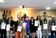 CMCG homenageia artistas locais com Medalha do Mérito das Artes e Ativismo Cultural