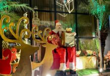 Natal Iluminado: Prefeito Bruno inaugura decoração natalina da STTP na noite desta sexta-feira