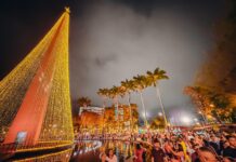 Do gospel a roda de samba: Natal Iluminado se despede da 11ª edição com programação especial temática