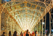 Natal Iluminado de Campina Grande completa 10 anos consolidado como uma referência turística para o interior do Nordeste