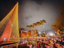 Natal Iluminado: evento chega ao fim nesta terça-feira com registro de grande público durante toda edição 2025