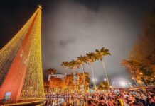 Natal Iluminado: PMCG divulga dados de pesquisa referente a edição 2025 do evento