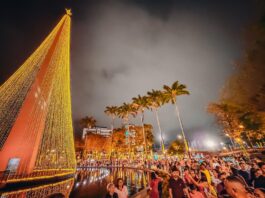 Natal Iluminado: PMCG divulga dados de pesquisa referente a edição 2025 do evento