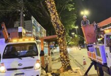 Prefeitura de João Pessoa inicia instalação da decoração natalina