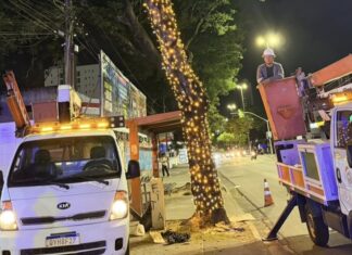 Prefeitura de João Pessoa inicia instalação da decoração natalina