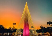 Natal Iluminado: confirmada data de abertura da 12ª edição do evento campinense