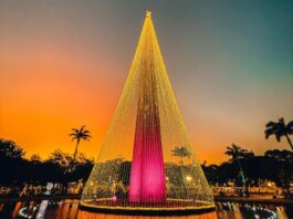 Natal Iluminado: confirmada data de abertura da 12ª edição do evento campinense