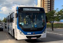 Campina Grande terá reforço de frota de ônibus para o domingo, Dia de Finados