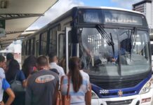 PMCG promove sábado, 6 de abril, mais uma edição do Tarifa Zero no transporte público