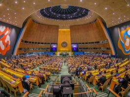 Relatório da ONU revela urgência global de financiamento para combater a fome