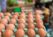 Brasileiro come quase 300 ovos por ano