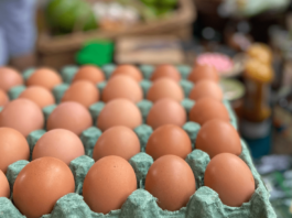 Brasileiro come quase 300 ovos por ano
