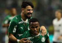 Palmeiras derrota Botafogo e assume liderança do Campeonato Brasileiro