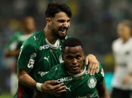 Palmeiras derrota Botafogo e assume liderança do Campeonato Brasileiro