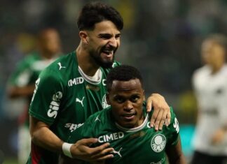 Palmeiras derrota Botafogo e assume liderança do Campeonato Brasileiro