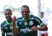 Palmeiras vence e coloca mão na taça do Campeonato Brasileiro