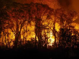 Fogo já consumiu 1,3 milhão de hectares e volta a aumentar no Pantanal