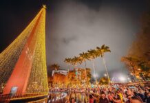 Réveillon: tradicional queima de fogos de Campina Grande acontecerá no mirante do Parque Evaldo Cruz