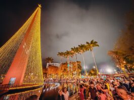 Réveillon: tradicional queima de fogos de Campina Grande acontecerá no mirante do Parque Evaldo Cruz