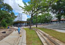 Prefeitura de Campina Grande realiza o plantio de grama e instalação de grades no Parque Evaldo Cruz