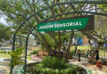 Prefeitura de Campina Grande promove evento “Vivendo o Parque” com programação ambiental gratuita no Parque Evaldo Cruz