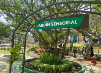 Prefeitura de Campina Grande promove evento “Vivendo o Parque” com programação ambiental gratuita no Parque Evaldo Cruz