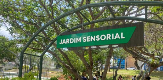 Prefeitura de Campina Grande promove evento “Vivendo o Parque” com programação ambiental gratuita no Parque Evaldo Cruz