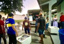 Prefeitura de Campina Grande entrega uma tonelada de peixes para famílias acompanhadas por quatro Cras do Município