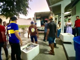 Prefeitura de Campina Grande entrega uma tonelada de peixes para famílias acompanhadas por quatro Cras do Município