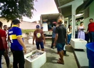 Prefeitura de Campina Grande entrega uma tonelada de peixes para famílias acompanhadas por quatro Cras do Município