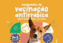 Prefeitura de Campina Grande divulga locais do dia D de vacinação antirrábica