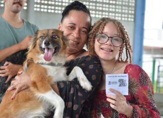 Prefeitura de Campina Grande realiza segundo Dia D de Vacinação Antirrábica neste sábado (12)