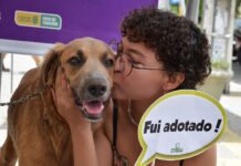 Centro de Controle de Zoonoses da PMCG realiza Dia D de Adoção nesta sexta-feira em comemoração ao Dia Nacional dos Animais