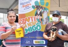 CCZ realiza Dia D de Adoção com vacinação gratuita em Campina Grande
