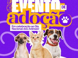 Centro de Controle de Zoonoses promove adoção de animais, na Praça da Bandeira, em Campina Grande