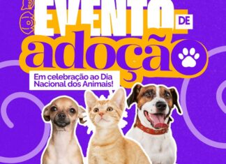 Centro de Controle de Zoonoses promove adoção de animais, na Praça da Bandeira, em Campina Grande