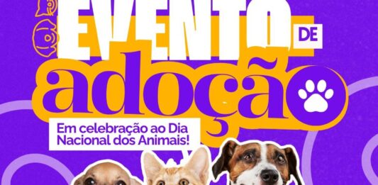 Centro de Controle de Zoonoses promove adoção de animais, na Praça da Bandeira, em Campina Grande
