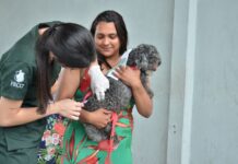 Campanha de vacinação antirrábica é prorrogada em Campina Grande