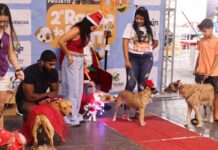 Ração do Bem: Segunda Edição do evento aconteceu na Pirâmide do Parque do Povo e arrecadou duas toneladas de ração